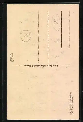 Steindruck-AK Nürnberg, Sicht auf das Nassauer-Haus