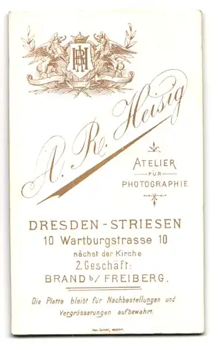 Fotografie Atelier Heisig, Dresden-Striesen, Bürgerliche Dame mit Kragenbrosche