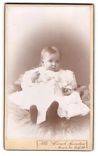 Fotografie M. Hirsch, Spandau, Breitestr. 26-28, Kleines Kind im weissen Kleid