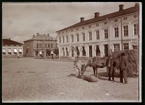 Fotografie M.L. Carstens, Hamburg, Ansicht Vaasa / Finnland, Pferdewagen vor Drogerie Westman & Ertman