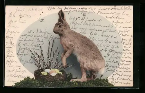 AK Osterhase mit seinem Körbchen