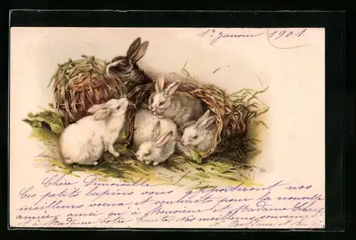 AK Osterhase, Hasen sitzen in Körben im Grünen