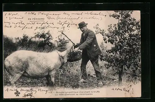 AK Mann mit Korb und erfolgreichem Trüffelschwein