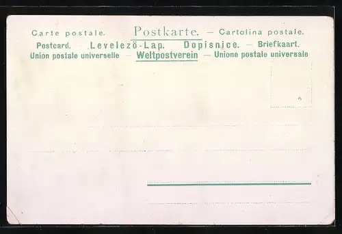 Lithographie Villingen, Rietthor und Waldhôtel