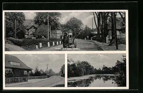 AK Hohn /Schlesw.-Holst., Strassenpartie, Teich, Kutsche