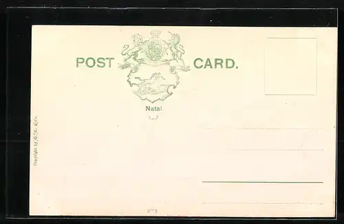 AK Durban, Market Buildings