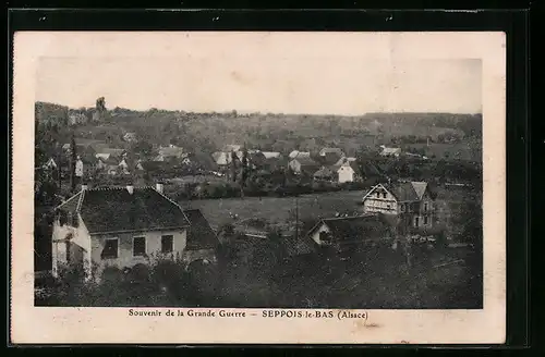 AK Seppois-le-Bas, Panorama