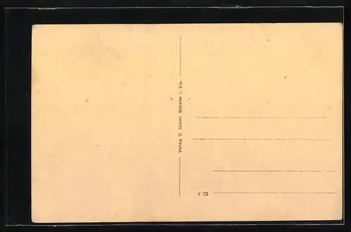 AK Stossweiler b. Münster i. Els., Ortsansicht aus der Vogelschau