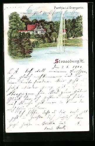 Lithographie Strassburg i. E., Partie in der Orangerie