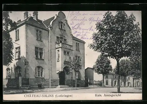 AK Château-Salins, le tribunal impérial