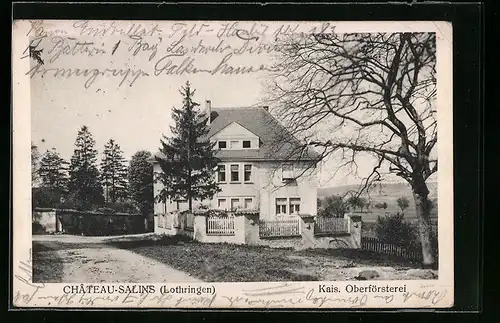 AK Château-Salins, Kaiserliche Oberförsterei