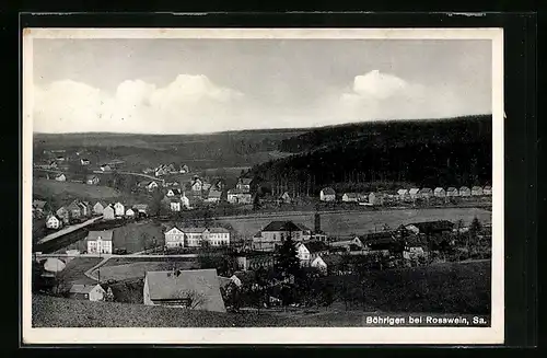 AK Böhrigen bei Rosswein, Generalansicht der Ortschaft