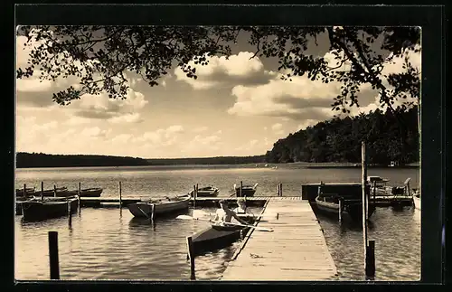 AK Neuglobsow, Bootsverleih am Stechlin-See