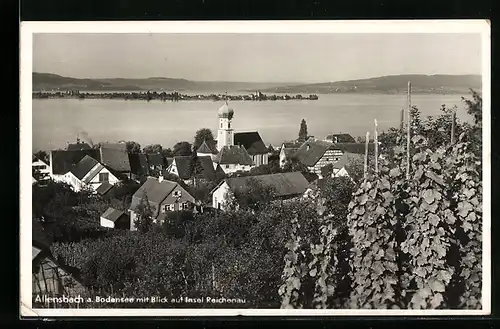 AK Allensbach /Bodensee, Blick auf Insel Reichenau