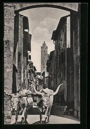 AK S. Gimignano, Porta S. Giovanni