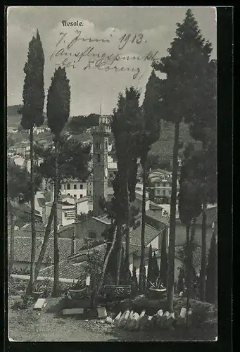 AK Fiesole, Panorama