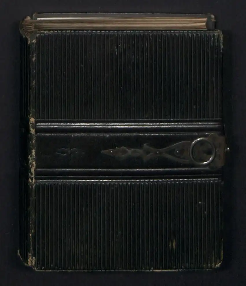 Fotoalbum 30 Portrait-Fotografien berühmte Personen: Humboldt, Heine, Charlotte Kästner, Shakespeare, Dürer, Goethe u.a. 1