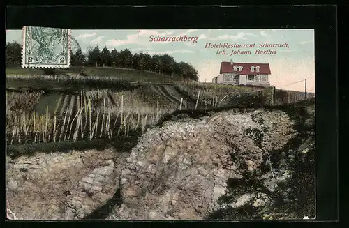 AK Scharrachberg, Hotel-Restaurant Scharrach von Johann Barthel