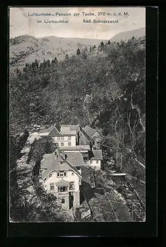 AK Lierbachthal /Bad. Schwarzwald, Hotel und Pension zur Traube