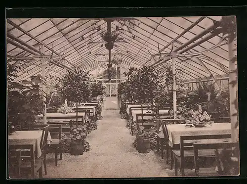 AK Lorch /Württemberg, Wald-Café Muckensee, Bes.: C. W. Beck