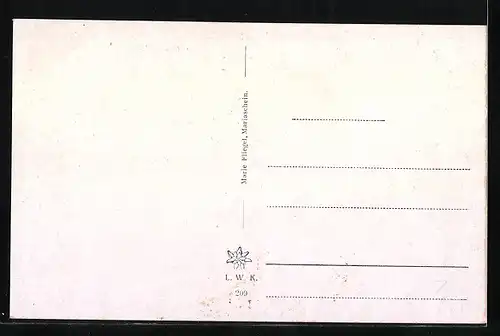 AK Mariaschein, Totale des Ortes