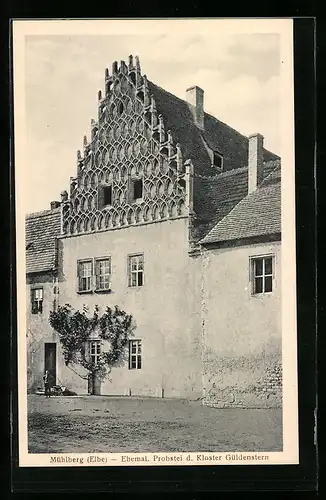 AK Mühlberg, Ehemalige Probstei des Kloster Güldenstern