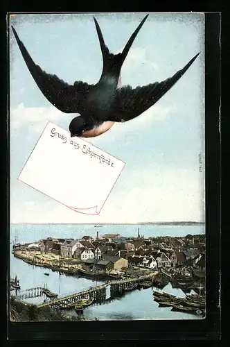 AK Eckernförde, Schwalbe mit Gruss über dem Küstenort
