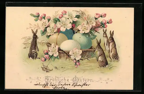 AK Osterhasen begutachten Osternest