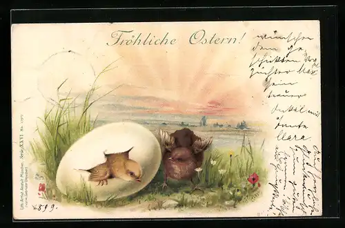 AK Osterküken blickt aus dem Osterei