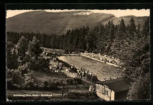 AK Gehlberg /Th., Waldbad aus der Vogelschau