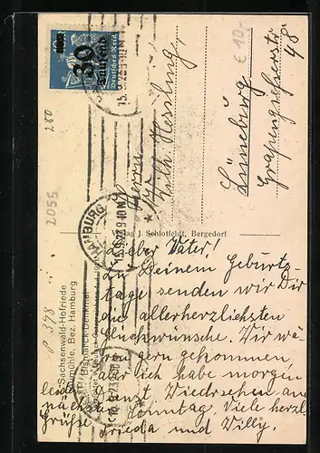 AK Sachsenwald-Hofriede, Enthüllung des Bismarck-Denkmals 1921