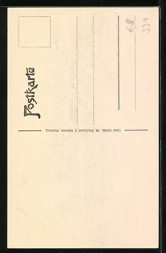 AK Wolfenbüttel, Altes Haus, Canzleistrasse