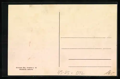 AK Neustadt, Elbgau-Sänger-Bundesfest 1921, Ortsansicht mit Harfe