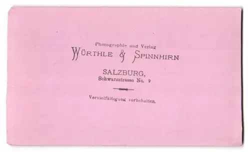 Fotografie Würthle & Spinnhirn, Salzburg, Ansicht Golling, Blick auf den Ort