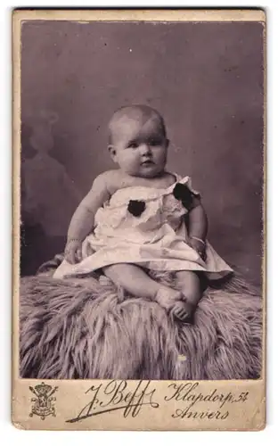 Fotografie J. Beff, Anvers, Kladorp 54, Pausbäckiges Baby auf einem Fell