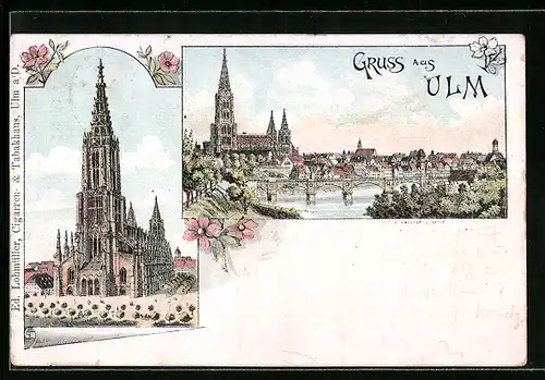 Lithographie Ulm, Ortsansicht mit Dom, Nahaufnahme des Doms