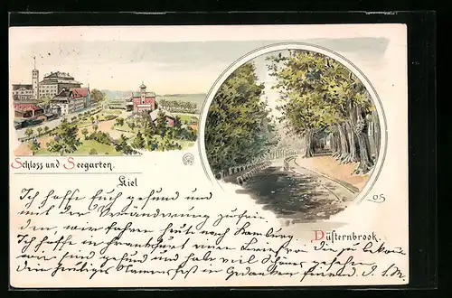 Lithographie Düsternbrook, Schloss und Seegarten mit Strassenpartie