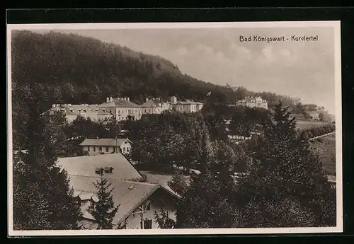 AK Bad Königswart, Kurviertel aus der Vogelschau