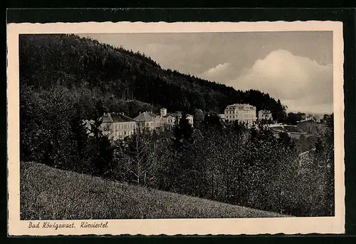 AK Bad Königswart, Blick auf das Kurviertel