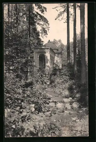 AK Marienbad, Waldquelle im Grünen