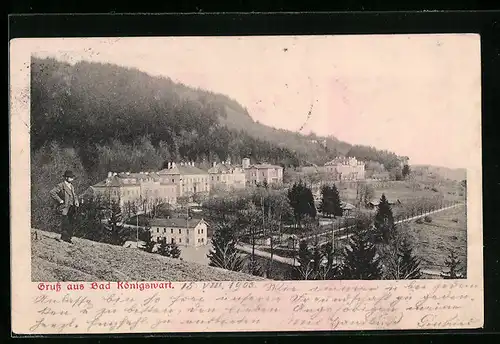 AK Königswart, Villenviertel am Park