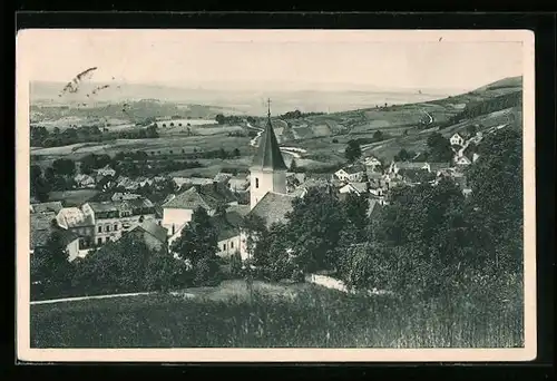 AK Bad Königswart, Ortsansicht vom Spitzenberg aus gesehen