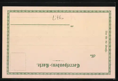 Lithographie Karlsbad, Marktbrunnen, Stephaniewarte, Franz-Josephs-Höhe