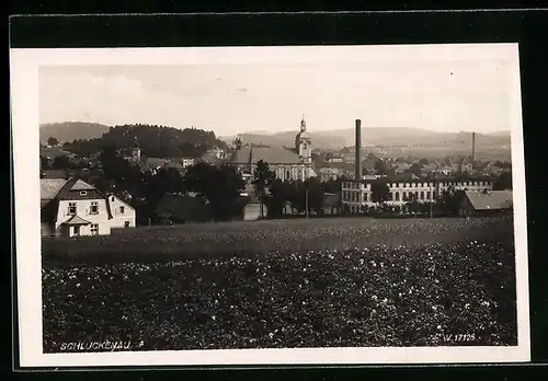 AK Schluckenau, Ortsansicht mit Kirche