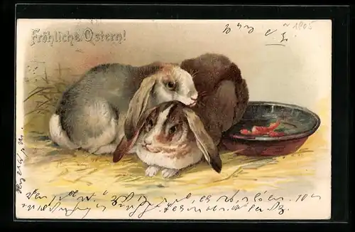 AK Zwei Osterhasen im Stall am Futternapf, Ostergruss