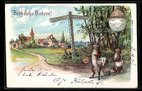 AK Osterhasen am Wegweiser nach Osterhausen und nach Hasenheim, vermenschlichte Tiere, Osterhase