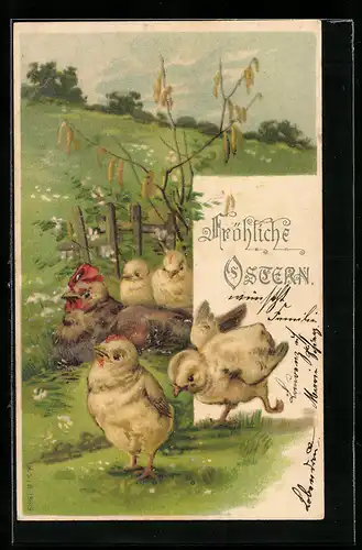 AK Osterküken und Huhn im Grünen