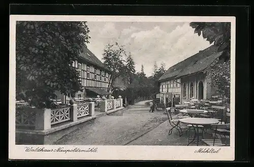 AK Eisenberg i. Thür., Waldhaus Naupoldsmühle im Mühltal