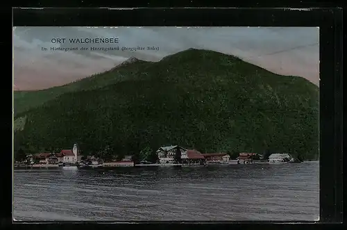 AK Walchensee, Küstenpartie, Im Hintergrund der Herzogstand