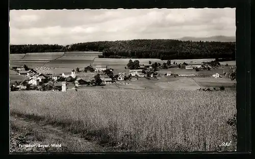 AK Fernsdorf /Bayer. Wald, Ortspartie